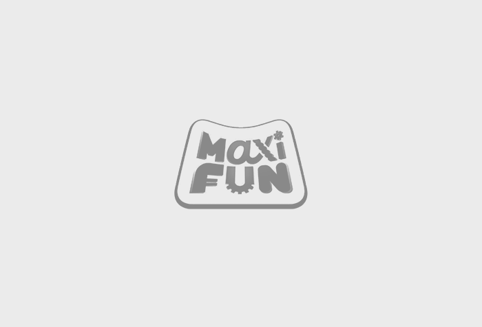MocRodzicielstwa_700x475_maxi-fun_gray